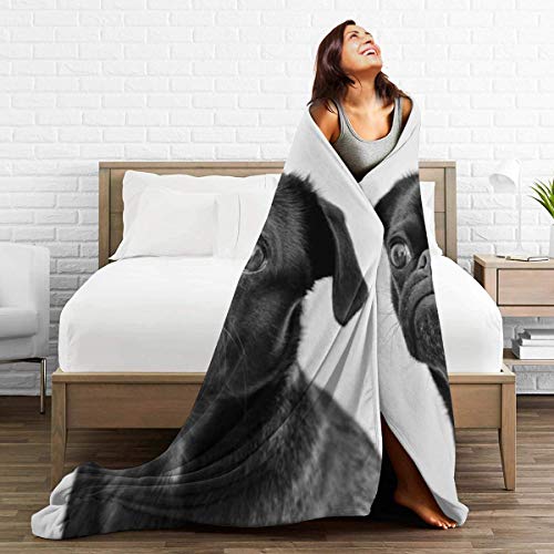 Cute-Black-Pug-Dog-Printed-Blanket-Throw-Lightweight-Soft-Micro-Fleece-Throw-Blankets-Fit-Couch-Bed-Living-Room-Sofa-Chair-60X50 Cute Black Pug Dog Printed Blanket Throw Lightweight Soft Micro Fleece Throw Blankets Fit Couch Bed Living Room Sofa Chair 60X50
