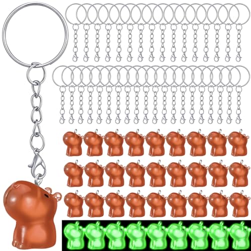 Image of Landical 36 Pcs Mini Capybara Resin Keychain Capybara Party Favor Keychains 3D Animal Pendant Figurine Accessories for Party