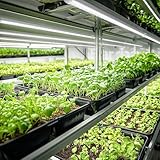 Barrina Plant Grow Lights, 4FT 5000K Full Spectrum Daylight White, 252W(6 x 42W, 1400W Equivalent), T8 LED Grow Light Strips, Growing Lamp Fixture, Plant Lights for Indoor Plants, Greenhouse, 6-Pack - Image 2