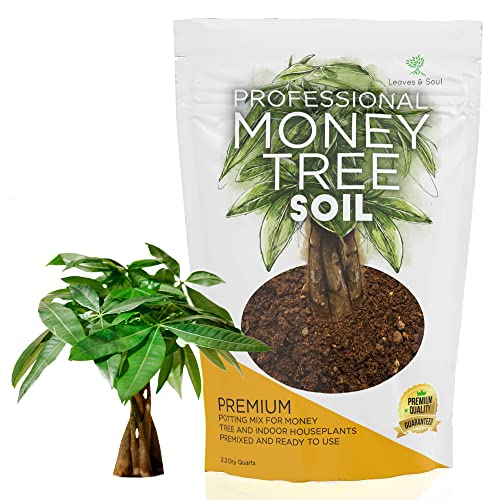 Professional Money Tree Soil | Large 2.2 Quarts Ready To Use For Money Tree Plants | Peat Moss, Coco Coir, Perlite, Dolomite | Made In Usa #TOP8