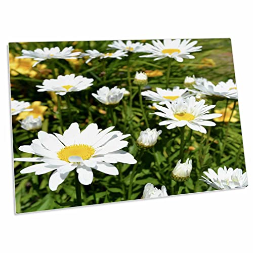 3dRose Patricia Sanders Flowers - Daisies of Summer III - Desk Pad miniatura 1