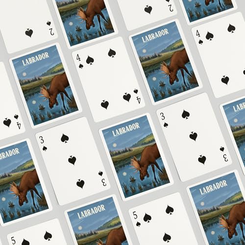 Lantern Press Labrador Naipes Póker 52 cartas miniatura 4