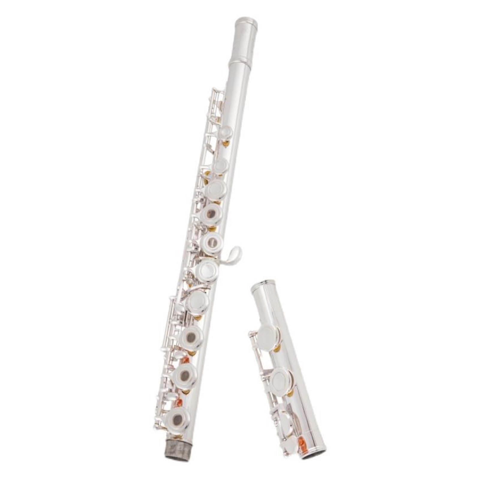 Flet poprzeczny Instrument fletowy C-tune posrebrzany otwierany i zamykany Profesjonalny egzamin dla dorosłych