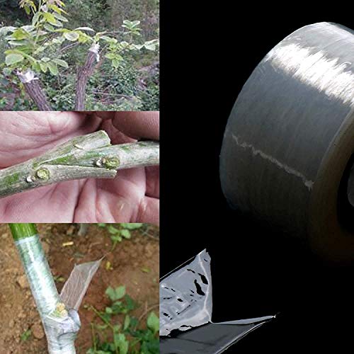 SVE 900M x 1.5 Inch Grafting Stretchable Tape for Nursery and Garden, Budding/Plant Repair Tape for Nursery & Garden, Moisture Barrier Waterproof, Length- 900meter, Width- 24mm (Pack of 1)