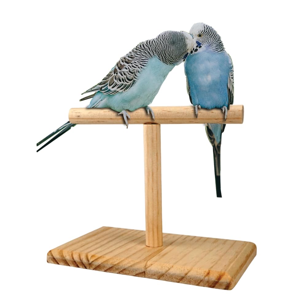 2 Pack Bird Perch Stand、Parrot Stand perches、perches for Parakeets、Bird Play Stand、Cockatiel Perch，for Small to Medium Sized Birds, Parrots, Cockatiels, Conures, Lovebirds or Parakeets