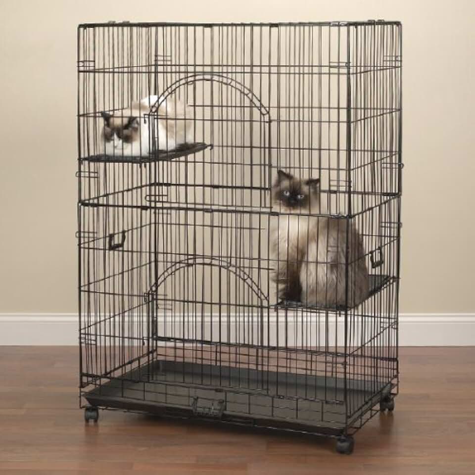 клетка большая. клетка триол 5005. клетка для крысы 60x40x50. клетка montana cages "melbourne. заходи в мою большую клетку.