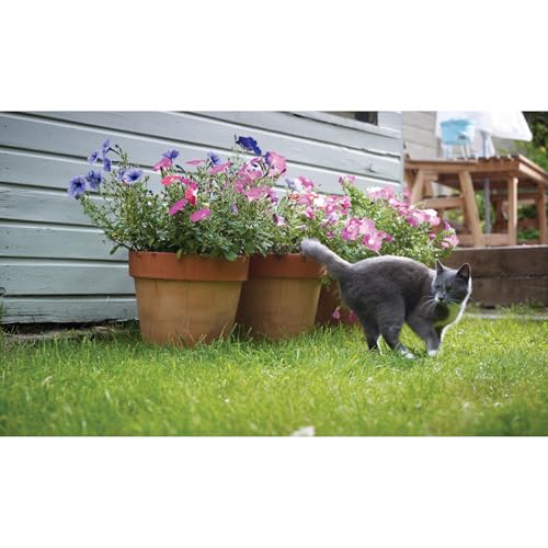 PetSafe Staywell Magnetische Katzenklappe Deluxe, Magnet-Schlüssel gibt nur Ihrer Katze Zugang - hält fremde Tiere draußen, mit 4 Verschlussoptionen, für Katzen bis zu 7 kg, Weiß