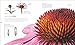 The Science of Plants: Inside Their Secret World (DK Secret World Encyclopedias)