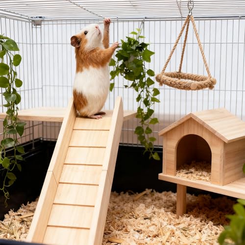 Meerschweinchen Kletterrampe Holz Haustiere Brücke Spielzeug Hamster Leiter Spielzeug Zubehör für Kleintiere Meerschweinchen Hamster Ratten Chinchillas Eichhörnchen - 80 × 17 × 7 cm