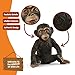 Schleich Wild Life - 2