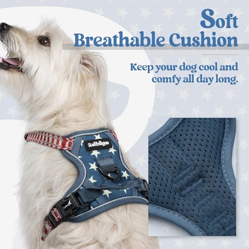 Image of rabbitgoo Dog Harness No Pull with 2 Leash Clips, Adjustable Soft Padded, Reflective Oxford No Choke Pet Vest with Easy Control Handle for Large Dogs, Blue Star, XS