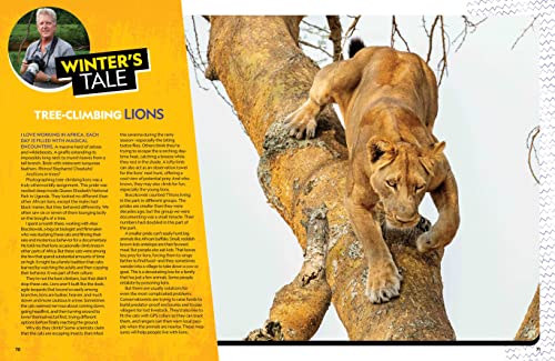The Ultimate Book of Big Cats: Your guide to the secret lives of these fierce, fabulous felines (National Geographic Kids) - Image 6