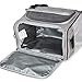 Amazon Basics Soft Insulated Cooler Bag, 24 Can Capacity, Gray