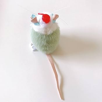 51kOPeiyBJL._AC_UF350,