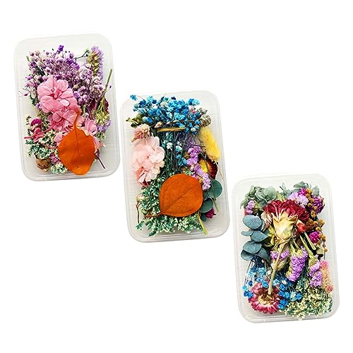 Flores Secas Realistas para Manualidades miniatura 1