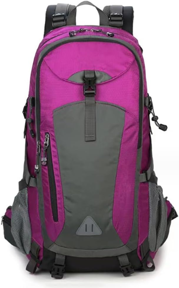 希少 SALOMON アルペンスキー スキーバッグ 選手用 バックパック レア