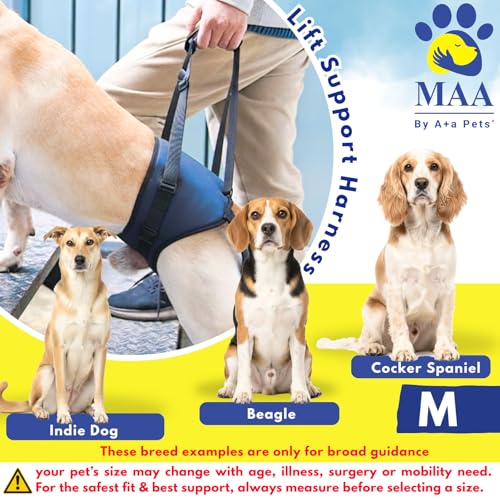 Image of A+a Pets' MAA' Male Dog Lift Support Harness for Hind /Back Legs | for Disabled Aged Injured Paralysed Arthritis (Navy, M)