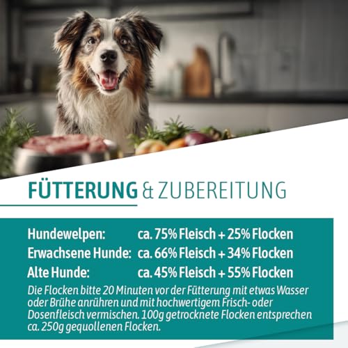 AniGo Reisflocken für Hunde 1 kg – Glutenfreie Reisflocken als Barf-Zusatz & Schonkost, Ergänzungsflocken, Kohlenhydratquelle für Hunde