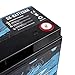 Skar Audio 12V AGM 300 Amp 20Ah High Performance Car Audio Battery with Terminals | SK-BATT20AH