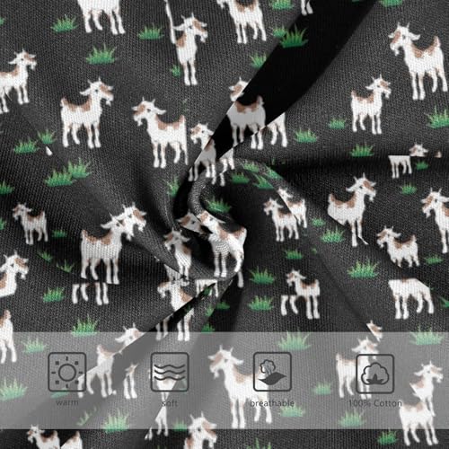 Boys' Exclusive Briefs Toddler Underwear 95% Combed Cotton Boxerbriefs 2T Black Cat Pattern with Yellow Eyes 103