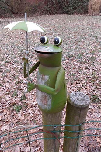 Deko-Impression Zaunfigur Zaunhocker Gartendeko witziger frecher Frosch m. Schirm 16cm