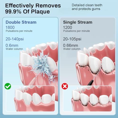 Image of HANNEA 300ml Oral Irrigator, 4 Modes, IPX7, 6 Nozzles, Rechargeable
