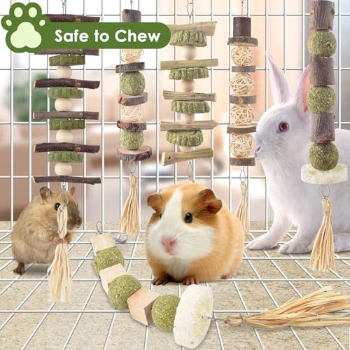 Bissap 6 peças de brinquedos para mastigar coelhos, petiscos naturais para mastigar coelho pendurado
