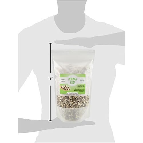 Miniatura 4 de Semillas de Moringa Oleifera sin OMG PKM1 de alta calidad, cultivadas orgánicamente, 10 onzas, 283 GMS (1000 semillas aproximadamente), bolsa de pie
