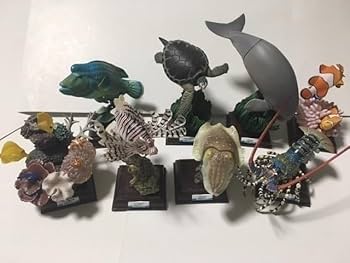フィギュア　鳥羽水族館立体コレクション 奇譚クラブ ネイチャーテクニカラー 鳥羽水族館立体コレクション