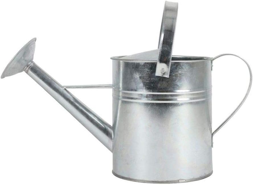 ZinkGießkanne 5L mit Henkel Amazon.de Garten
