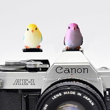 ZOSTLAND Special SLR Camera Hot Shoe Boot Cover Cap,Attractive Shoe Protector,Compatible with Sony Fuji Canon Nikon Pentax Leical. 2pcs Bird