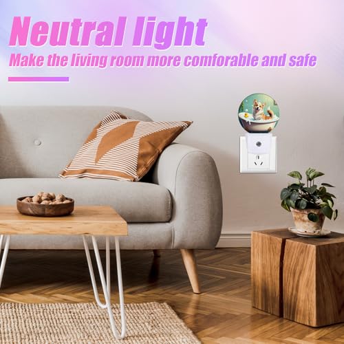 Image of Funny Corgi Bathing Night Light Puppy Lover Night Lights LED Lamp Round Plug into Wall Nightlight with Dusk to Dawn Sensor Home Hallway Stairway Kitchen Decor