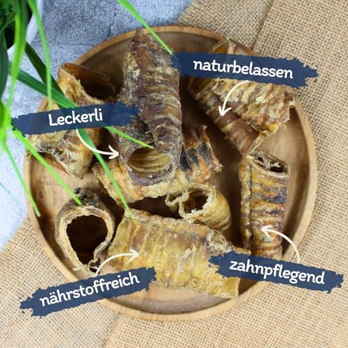 Lyra Pet® 5 kg Rinderstrossen klein getrocknet | Naturbelassener Kausnack | Proteinhaltiges Leckerli auch für Welpen und ältere Hunde | Nährstoffreich | Schonend getrocknet | Gut verträglich