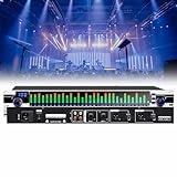 31-Band Stereo Graphic,Professional 2-Graphic Digital Equalizer with 10 Preset Effects and Low/mid/treble Independent Adjustment, Output HD Sound Quality, for Recording Studio
