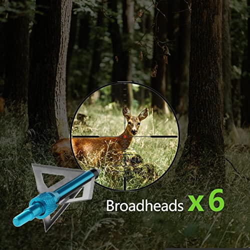 Irq 20 Inch Carbon Crossbow Bolts, 12 Pack Carbon Crossbow Arrows And 6 Pack Crossbow Broadheads Set For Hunting And Outdoor Practice (18 Pack) (Blue And White) #TOP6