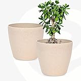Eha Set of 2 Earth-Friendly Deco 7" Self-Watering pots and Planters | Bamboo Based | UV Protected | for Indoor, Home Decor, Outdoor, Balcony & Garden | Sand Castle