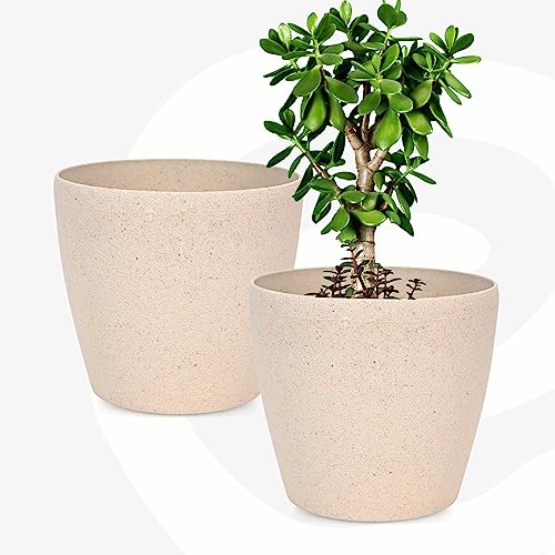 Eha Set of 2 Earth-Friendly Deco 7" Self-Watering pots and Planters | Bamboo Based | UV Protected | for Indoor, Home Decor, Outdoor, Balcony & Garden | Sand Castle