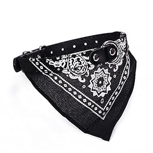 Frdun Elegancka Apaszka Paisley dla Psa