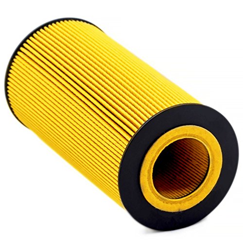 Ifjf Fl2016 Oil Filter Replacement For F250 F350 E350 E450 Super Duty Excursion E350 Club Wagon 6.0L/6.4L Powerstroke Diesel Engine Replaces 3C3Z-6731-Aa 1840752C91 Included O-Rings #TOP6