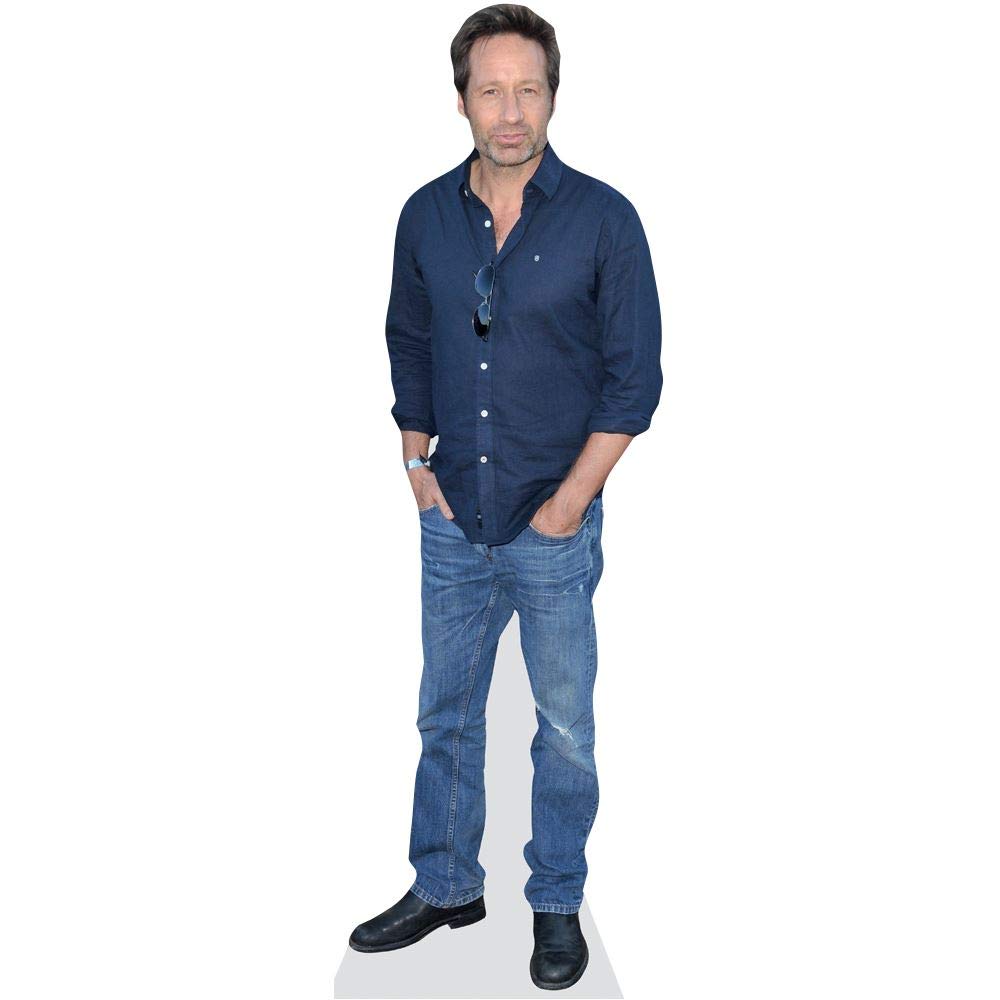 David Duchovny Mini Size Cutout