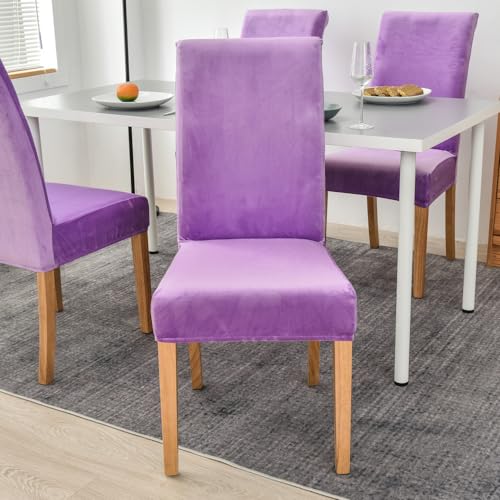 Housses de chaise salle à manger en velours extensible de qualité