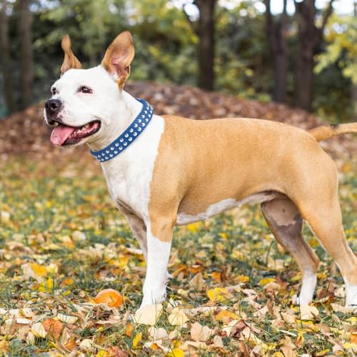 Collier en cuir clouté bleu foncé pour chien réglable taille M - 8