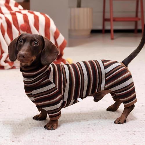 Disfraz para perro salchicha M rayas ligero miniatura 4