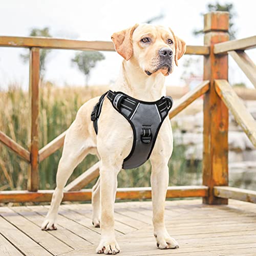 Image of HEELE Dog Harness, No Pull Adjustable Padded Reflective Harness for Small Medium Large Dogs with Handle for Walking Training, Grey, XL