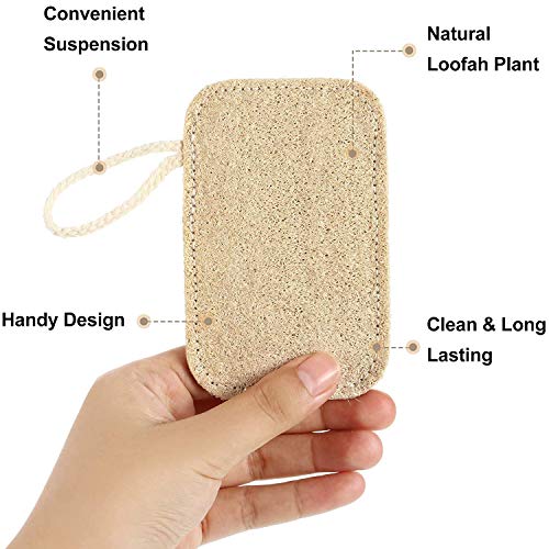 WETG 4 Pezzi Lavapiatti Scrub Cucina Spugna