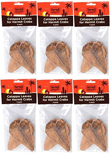 Fluker's Catappa Leaves for Hermit Crabs (5 Leaves Per Pack) (6 Pack)