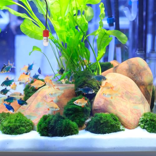 Calentador acuario pequeño USB ajustable agua dulce pecera tortugas betta 8