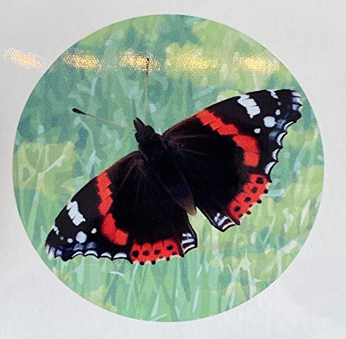 Retractable Screen Door Decals (Stickers) - 6 Per Package - Keep Children Safe - Alert Birds, Dogs, Kids - Warn, Protect, Window Safety - Butterflies #TOP5