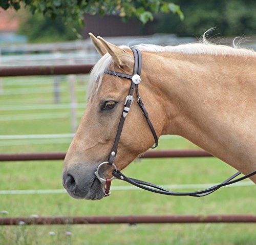 BUSSE Kopfstück COLT SILVER, mit Zügeln, Warmblut, dunkelbraun