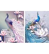 2 Pièces 5D Diamond Painting Diamant Peinture Papillon Femme